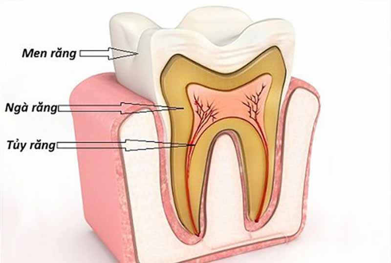 Các bác sĩ sẽ dựa vào mức độ tổn thương để phân biệt các cấp độ sâu răng