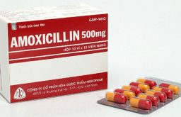 Amoxicillin là một trong những loại thuốc chữa viêm lợi tốt nhất