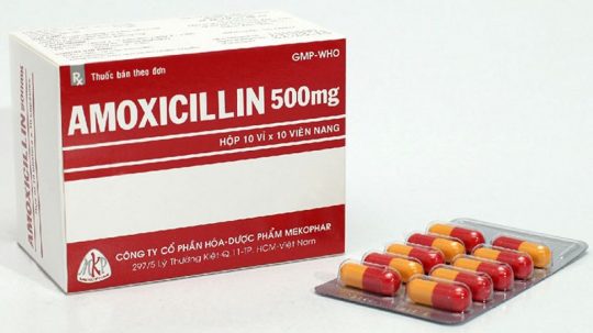 Amoxicillin là một trong những loại thuốc chữa viêm lợi tốt nhất