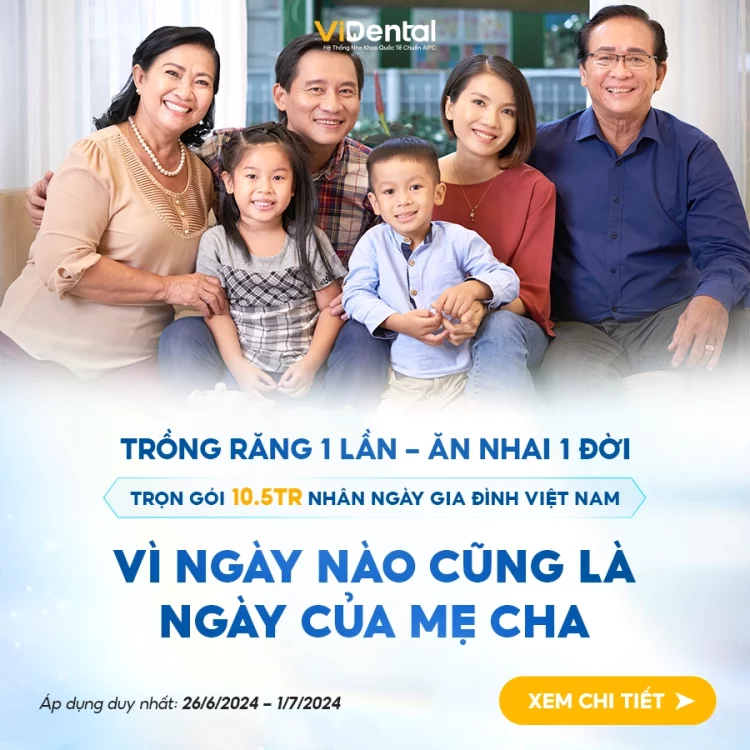 Trồng Răng Vidental implant